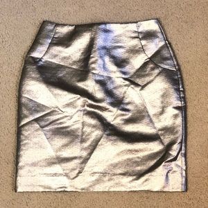 Silver H&M Skirt